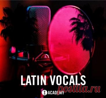 DownloadToolroom Latin Vocals [WAV] - DJ Tools/Dj Soft - MusicVibez DownloadToolroom Latin Vocals [WAV] в FLAC/320kbps на MusicVibez — DJ Tools/Dj Soft Release: Tracklist, Label download . - Musicvibez