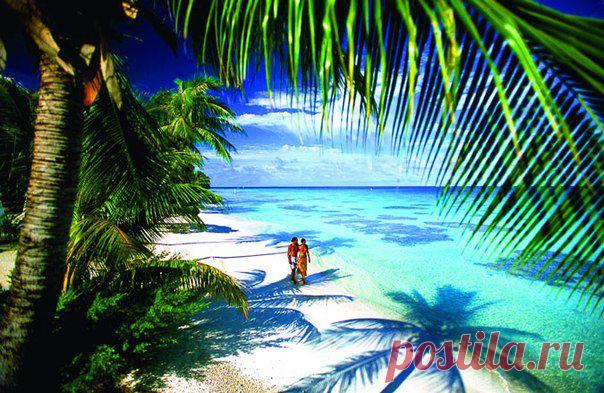 Тайны жизни ....