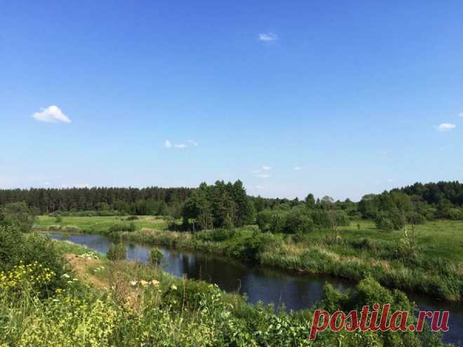 #1053. СНТ Луки. Участок 19 соток на 1-й линии Нерли.