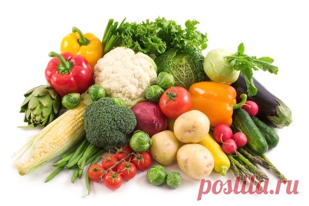 РАСТЕНИЯ, ОБЛАДАЮЩИЕ ЦЕЛЕБНЫМИ СВОЙСТВАМИ 

Каждое из них является для человека отличным профилактическим средством от различных недугов. 

1. Редька – выводит камни и песок из почек и мочевого пузыря, лечит бронхит, катар, туберкулез, кровоизлияния, является мочегонным и желчегонным. Увеличивает молоко у кормящих женщин. 
Показать полностью…