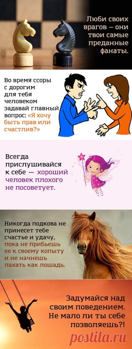 16 ЗАДОРНЫХ ОТКРЫТОК, ЧТОБЫ РАЗВЕЯТЬ ГРУСТЬ И ХАНДРУ