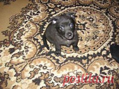 че смотрим?!