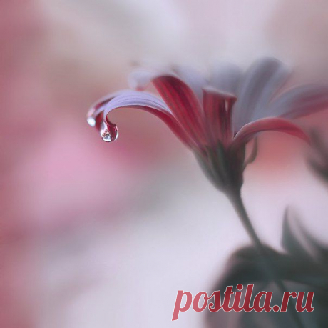 Фотографии на стене сообщества | 32 908 фотографий | ВКонтакте