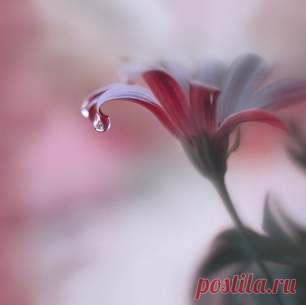 Фотографии на стене сообщества | 32 908 фотографий | ВКонтакте
