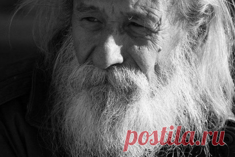 Заповеди 104-летнего мудреца Андрея Ворона: как жить в здравии и радости | Golbis