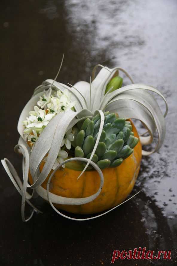 Через двадцать лет вы будете более сожалеть о том, чего НЕ СДЕЛАЛИ, чем о том, что вы СДЕЛАЛИ. Поэтому, отбросьте сомнения. Уплывайте прочь от безопасной гавани. Поймайте попутный ветер своими парусами. Исследуйте. Мечтайте. Открывайте. Марк Твен