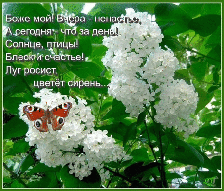 Плейкаст «ХОРОШИ ВЕСНОЙ В САДУ ЦВЕТОЧКИ !!!»