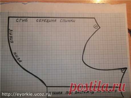 Выкройки одежды для собак - Страница 5 - Форум НАШИ ЙОРКИ И ИХ ДРУЗЬЯ