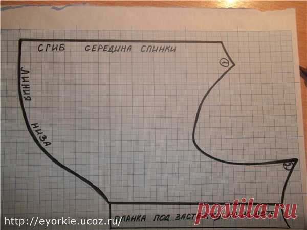 Выкройки одежды для собак - Страница 5 - Форум НАШИ ЙОРКИ И ИХ ДРУЗЬЯ