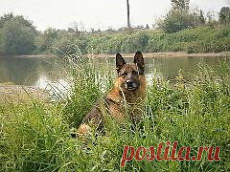 (47) Одноклассники