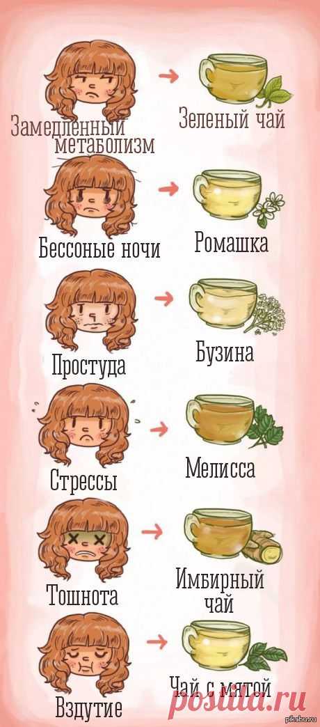 Горячее / pikabu.ru - Все