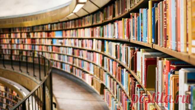 Цифровая революция убила литературу: «Гарри Поттер» станет последней книгой, прочитанной человечеством