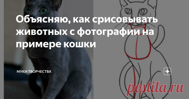 Объясняю, как срисовывать животных с фотографии на примере кошки Давайте вместе попробуем нарисовать поэтапно кошку. В этом уроке я хочу не просто предложить срисовать пошаговую схему. А показать на примере, как я мыслю при срисовывании с фотографии.