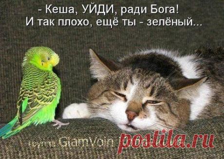 БЫВАЕТ!!!!))))