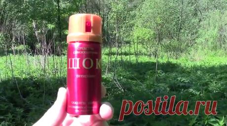 Что нужно знать о газовых баллончиках | Делимся советами