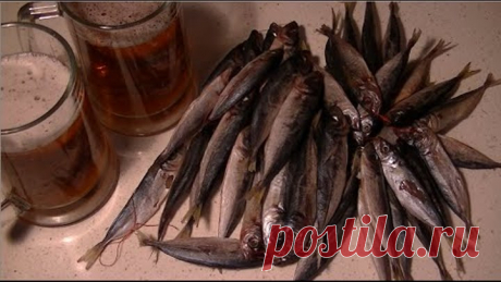 Вялим ставриду. Ставрида к пиву.