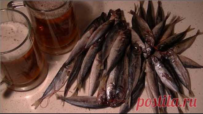 Вялим ставриду. Ставрида к пиву.