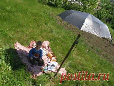 Моя дача ver. 2.0 Архитектура и дизайн