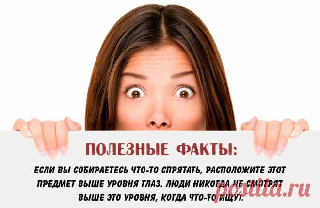 19 Полезных фактов, которые вы должны знать
