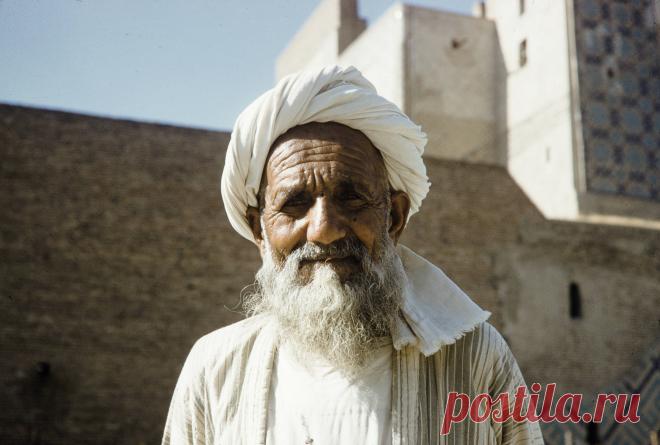 1959. Харрисон Форман в Самарканде. Часть 1: humus — ЖЖ