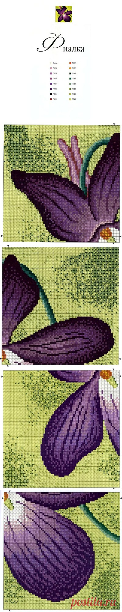 Цветы. Альбом вышивки крестом