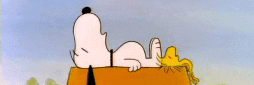 Nobel Prize-Winning Body Clock Studies Support Mandatory Naptime | Inverse