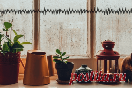 🔥 Исследователи утверждают, что растения издают ультразвуки в ответ на нехватку воды и процедуры по уходу
👉 Читать далее по ссылке: https://lindeal.com/research/issledovateli-utverzhdayut-chto-rasteniya-izdayut-ultrazvuki-v-otvet-na-nekhvatku-vody-i-procedury-po-ukhodu