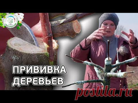 прививка весной