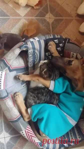 (1) Facebook