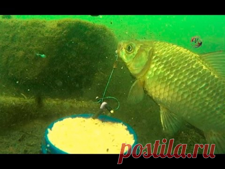 Ловил на &quot;Пробку&quot; с Подводными съемками. рыбалка онлайн. Ловля карася. fishing