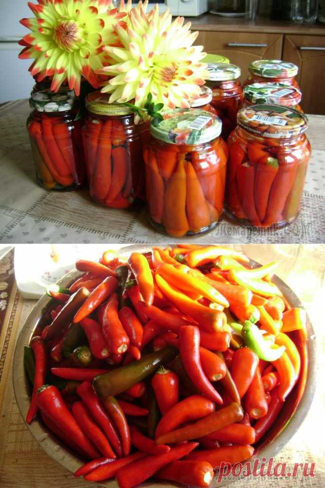 Перчики острые маринованные