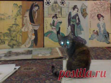 Кошка Муха и маленький вернисаж...
