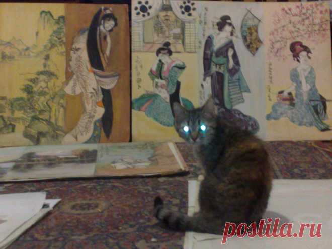Кошка Муха и маленький вернисаж...