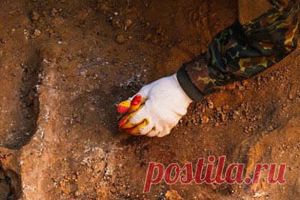 В польском лесу нашли золотое ожерелье готов