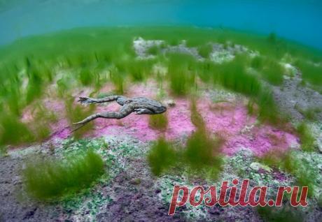 «Когда цветет лаванда...» Снимал Эдуард Николаев – nat-geo.ru/photo/user/8227