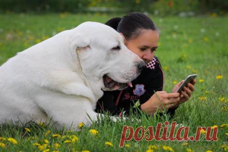(20+) Facebook