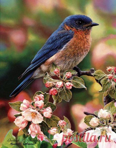 Картинки для декупажа, скрапа, коллажей | 981 фотография | ВКонтакте