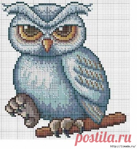 Павлины