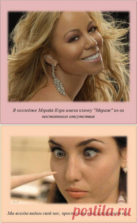 Интересные факты изображенные в картинках -  Интересные факты обо всем на свете изображенные в картинках.