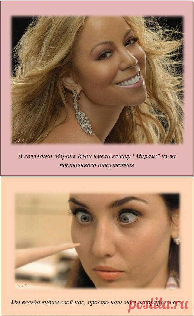 Интересные факты изображенные в картинках -  Интересные факты обо всем на свете изображенные в картинках.