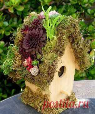 Скворечник и мини-сад 2 в 1 - красота!