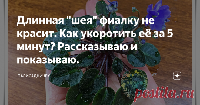 Длинная 