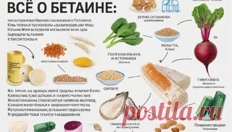 Hoвocть

Бетаин: что это такое, чем он полезен и где содержится

Мы расскажем о продуктах, содержащих бетаин, и о его пользе для здоровья.

Показать ещё