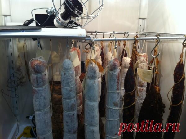 Начала: Камера для вяления \ The curing chamber и прочая. - Заметки из Скита