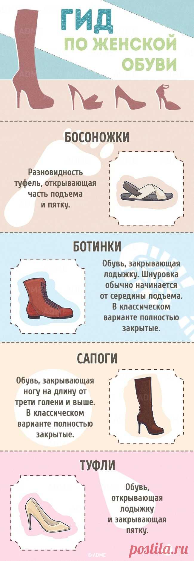 Гид по женской обуви