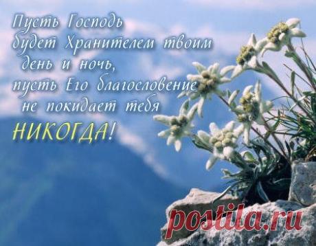 793.jpg (450×350)