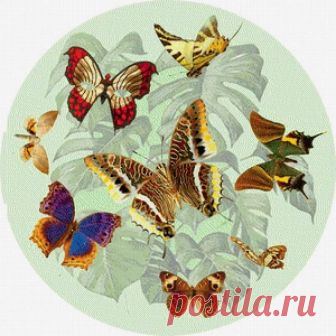 круглые картинки для декупажа детские: 10 тыс изображений найдено в Яндекс.Картинках