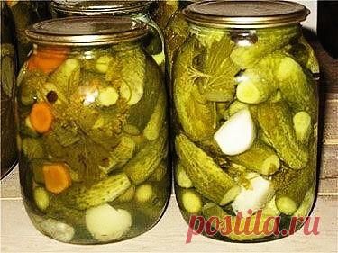 Вкуснейшие огурчики.

Далее слова автора. Эти огурчики я закрываю уже много лет и они нам всем очень нравятся, рецепт просят все, кто попробовал! Они получаются хрустящими и необыкновенно вкусными!

Итак, в стерилизованные баночки выкладываем огурчики (вымытые, еще я всегда обрезаю им хвостики, чтобы потом просто кушать и ничего не отрезать), несколько колечек горького стручкового перца, несколько горошин душистого перца, пару кусочков болгарского перца, зонтики укропа, ли...