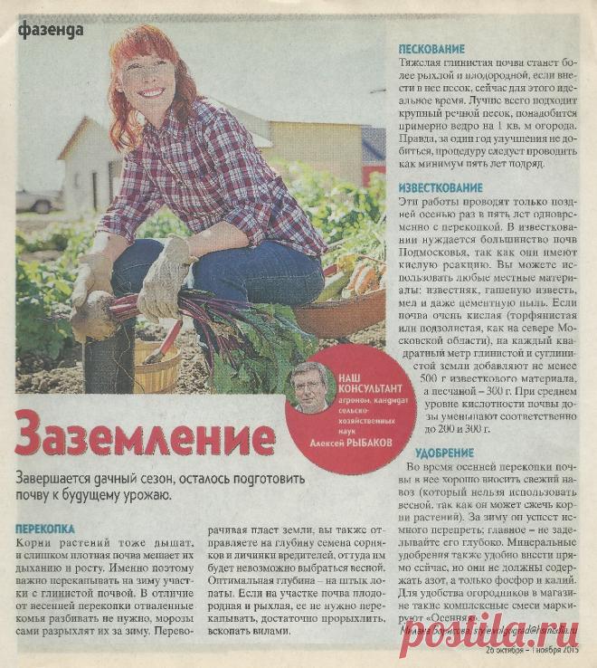 Готовим почву к будущему урожаю