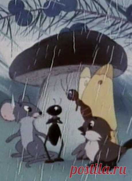 Грибок-теремок (СССР, 1958) / Детям / Советские мультфильмы / Смотреть он-лайн на сайте-кинотеатре Now.ru